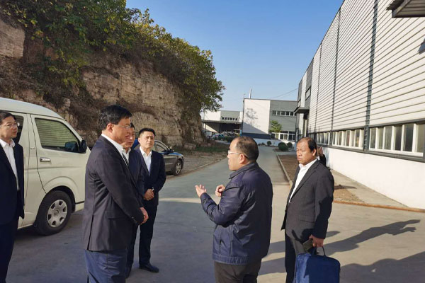 平陰縣委書記楊旭東來公司視察